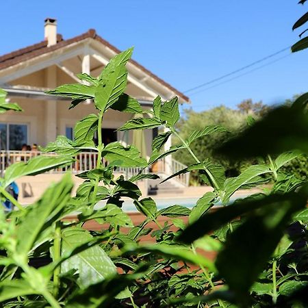 Maison Les Coquelicots Lyon Eksteriør billede