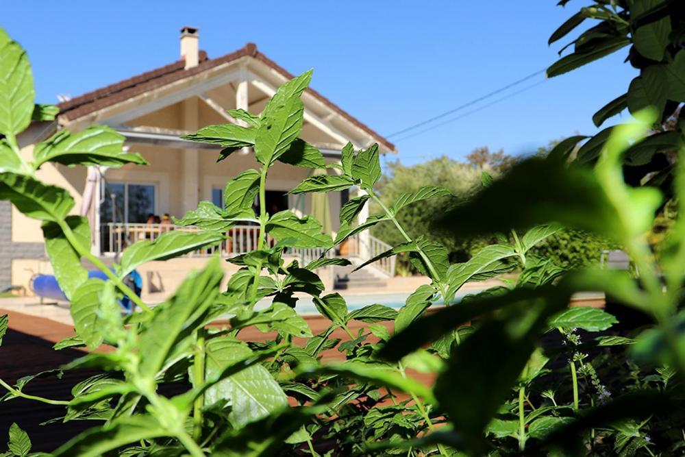 Maison Les Coquelicots Lyon Eksteriør billede
